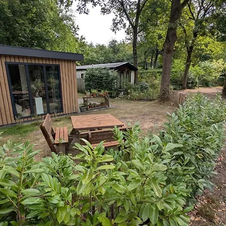Rustige Bij Deventer Met Prive Terras Gorssel